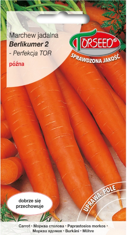 Marchew jadalna Berlikumer 2 - Perfekcja TOR Duże opakowanie nasion 8g vis TORSEED sklep rajogrodnika