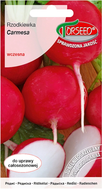 Rzodkiewka do uprawy pod osłonami i w polu Carmesa nasiona 5g vis TORSEED sklep rajogrodnika