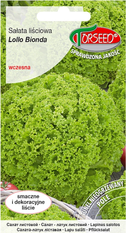Sałata liściowa do uprawy w polu Lollo Bionda nasiona 0,5g vis TORSEED sklep rajogrodnika