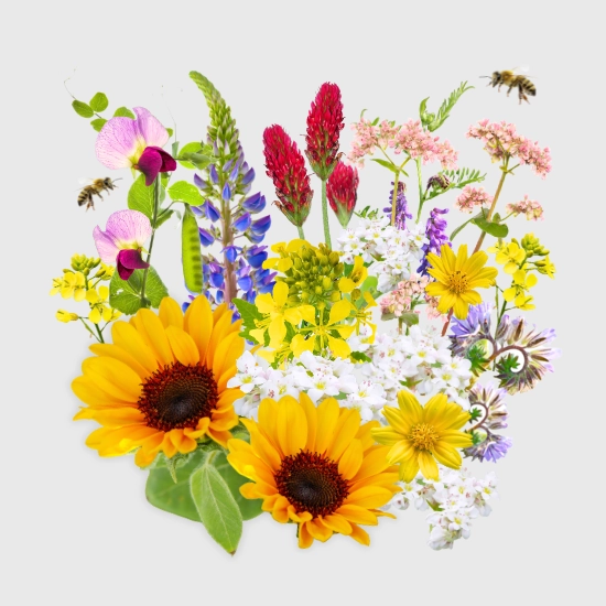 Mieszanka na poplon nasiona sklep rajogrodnika