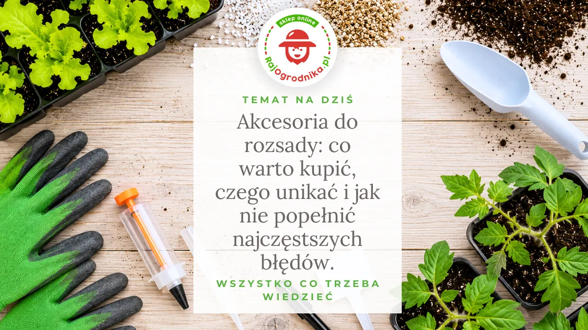 Akcesoria do rozsady: co warto kupić, czego unikać i jak nie popełnić najczęstszych błędów.