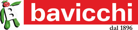 Bavicchi